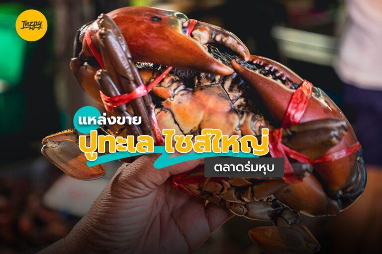 แหล่งขาย ปูทะเล ไซส์ใหญ่ ตลาดร่มหุบ จ.สมุทรสงคราม