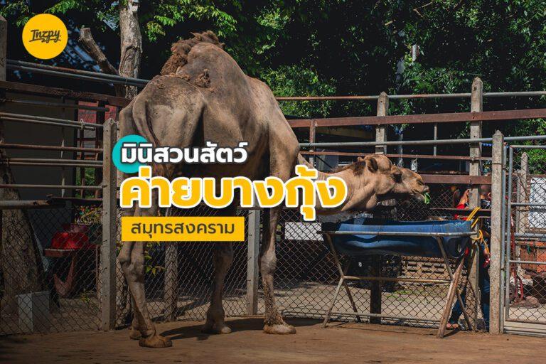 มินิสวนสัตว์ ค่ายบางกุ้ง สมุทรสงคราม