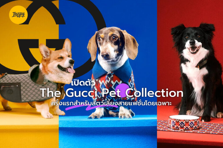 เปิดตัว The Gucci Pet Collection ครั้งแรกสำหรับสัตว์เลี้ยงสายแฟชั่นโดยเฉพาะ