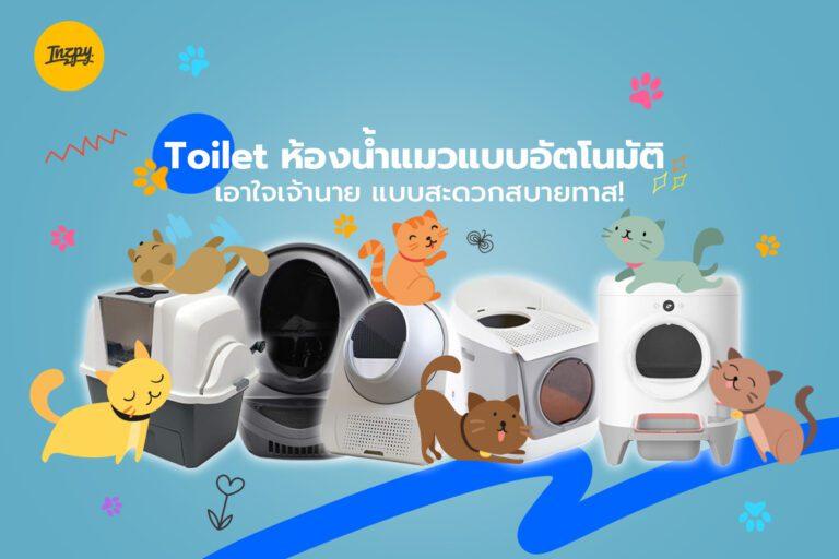 Toilet ห้องน้ำแมวแบบอัตโนมัติ เอาใจเจ้านาย แบบสะดวกสบายทาส!