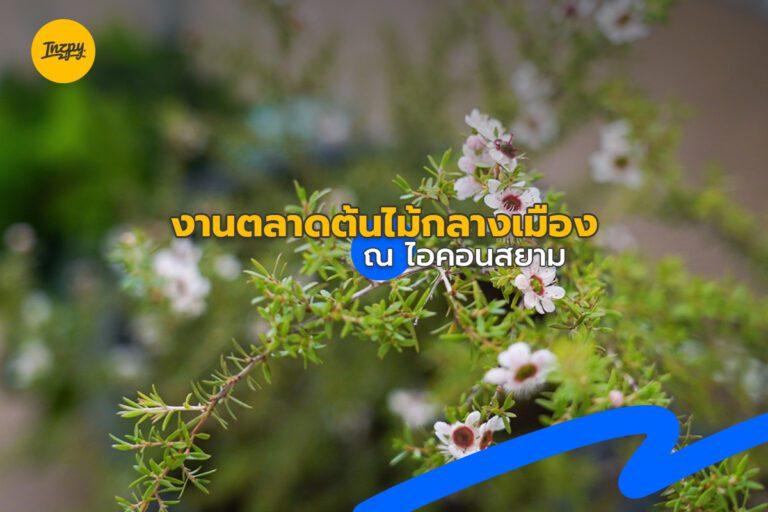 Update เทรนด์ต้นไม้สุดฮิต ในงานตลาดต้น ณ ไอคอนสยาม