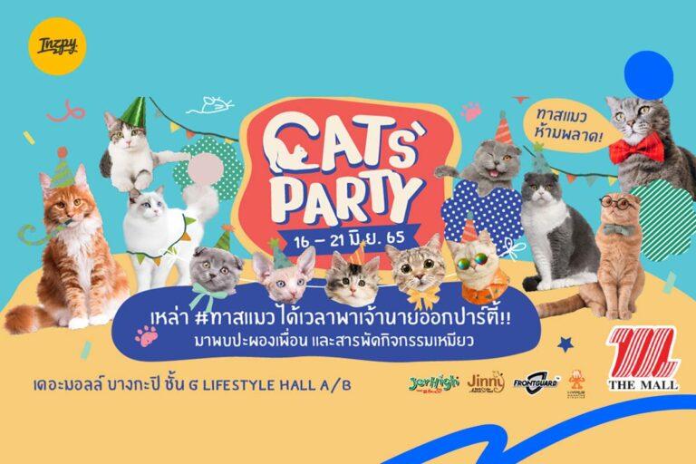 CATS’ PARTY : เดอะมอลล์ บางกะปิ