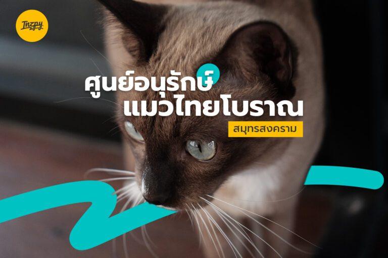 ศูนย์อนุรักษ์ แมวไทย โบราณ จ.สมุทรสงคราม