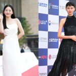 Blue Dragon Series Awards Red Carpet – 1