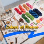 Colors of Flower นิทรรศการศิลปะจัดดอกไม้