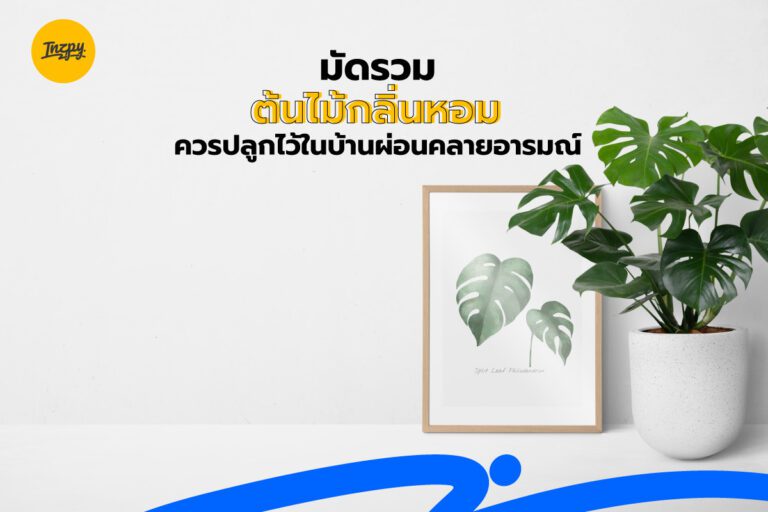 มัดรวมต้นไม้กลิ่นหอม ควรปลูกไว้ในบ้านผ่อนคลายอารมณ์