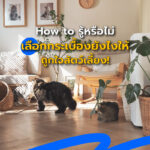 How to รู้หรือไม่ เลือกกระเบื้องยังไงให้ ถูกใจสัตว์เลี้ยง!