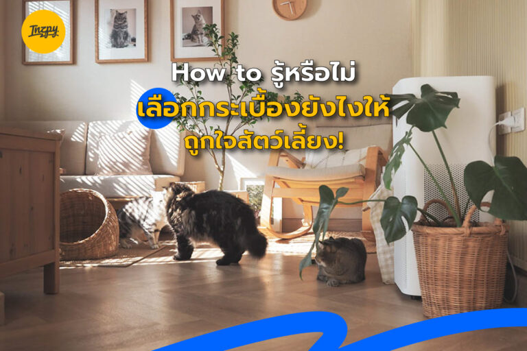 How to รู้หรือไม่ เลือกกระเบื้องยังไงให้ ถูกใจสัตว์เลี้ยง!