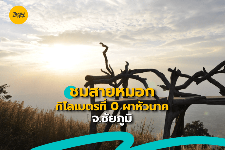 ชมสายหมอก กิโลเมตรที่ 0 ผาหัวนาค จ.ชัยภูมิ