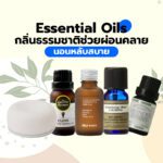 Essential Oils กลิ่นธรรมชาติช่วยผ่อนคลาย นอนหลับสบาย