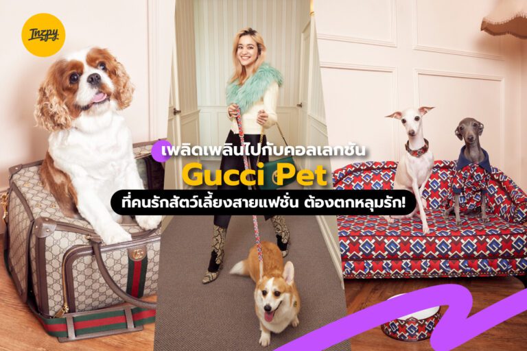 เพลิดเพลินไปกับคอลเลกชัน Gucci Pet ที่คนรักสัตว์เลี้ยงสายแฟชั่น ต้องตกหลุมรัก!