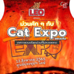 Cover – Cat Expo KhonKaen 22