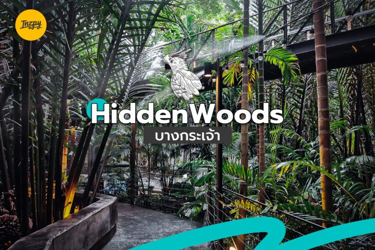 Hidden Woods คาเฟ่ลับ ท่ามกลางธรรมชาติ ที่บางกระเจ้า