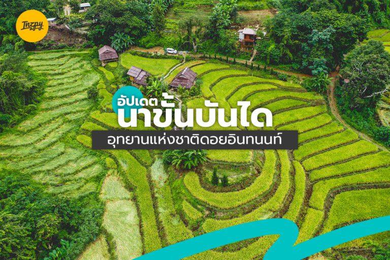 อัปเดต นาขั้นบันได อุทยานแห่งชาติดอยอินทนนท์