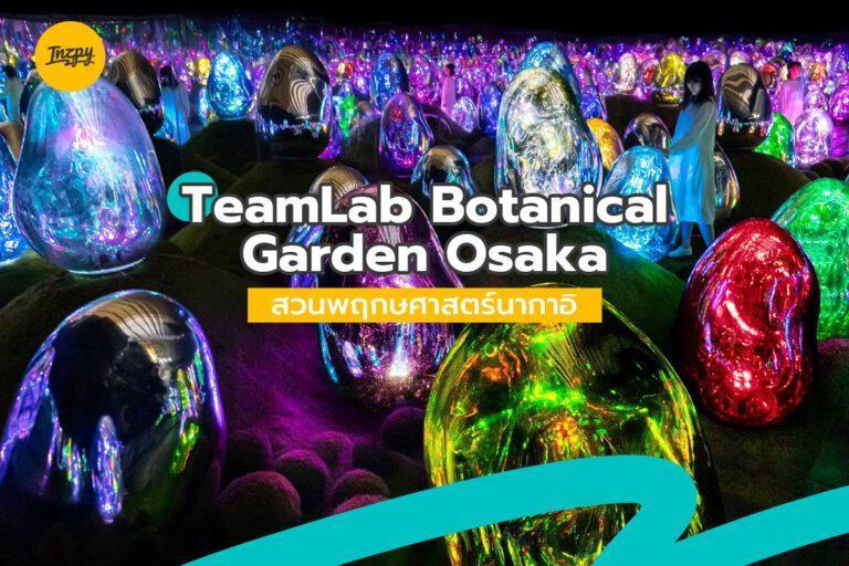teamLab Botanical Garden Osaka สวนพฤกษศาสตร์นากาอิ ที่ ญี่ปุ่น