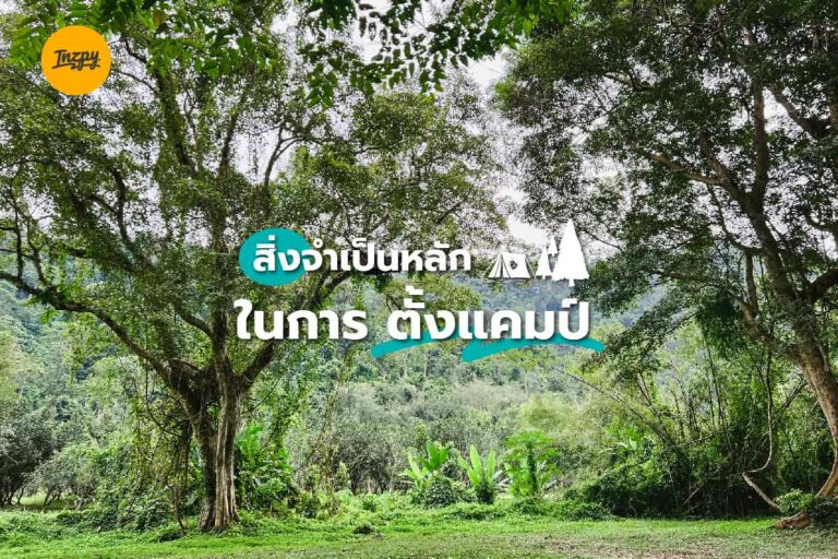 สิ่งจำเป็นหลัก ในการ ตั้งแคมป์