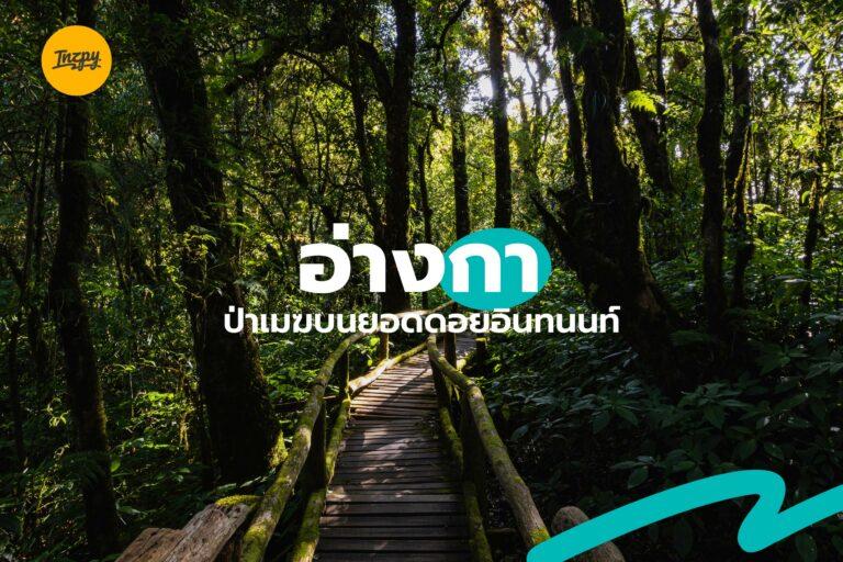 เส้นทางศึกษาธรรมชาติ อ่างกา ป่าเมฆบนยอดดอยอินทนนท์ จ.เชียงใหม่