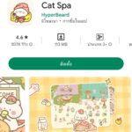 8- Cat spa