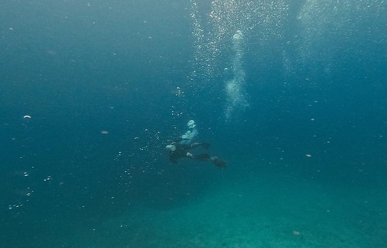 สุดยอดจุดดำน้ำ ทะเลชุมพร ลุ้นฉลามวาฬ กับ Chumphon Diving Center