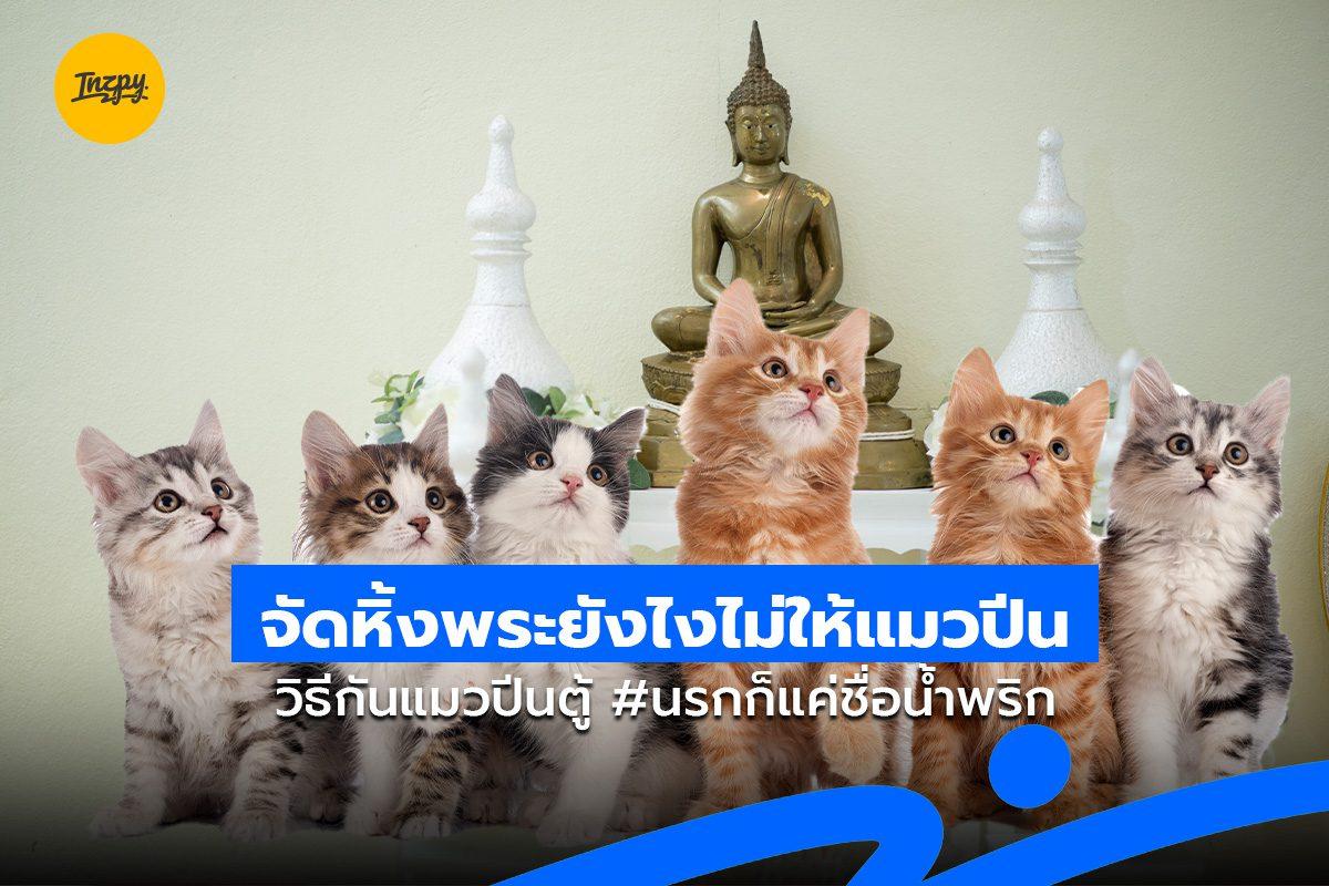จัดหิ้งพระยังไงไม่ให้แมวปีน