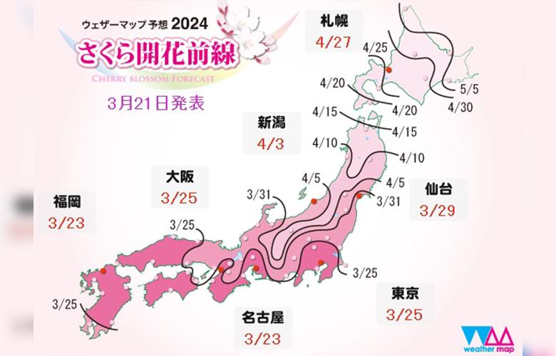 พยากรณ์ซากุระญี่ปุ่น 2024