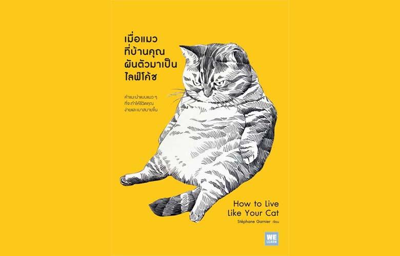 cat book 2