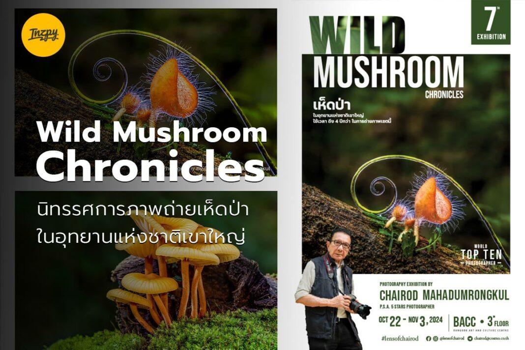 Wild Mushroom Chronicles