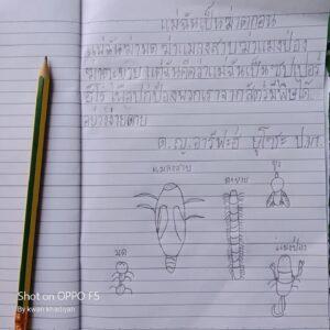 แม่ฉันฆ่ามด ฆ่าแมลงสาบ