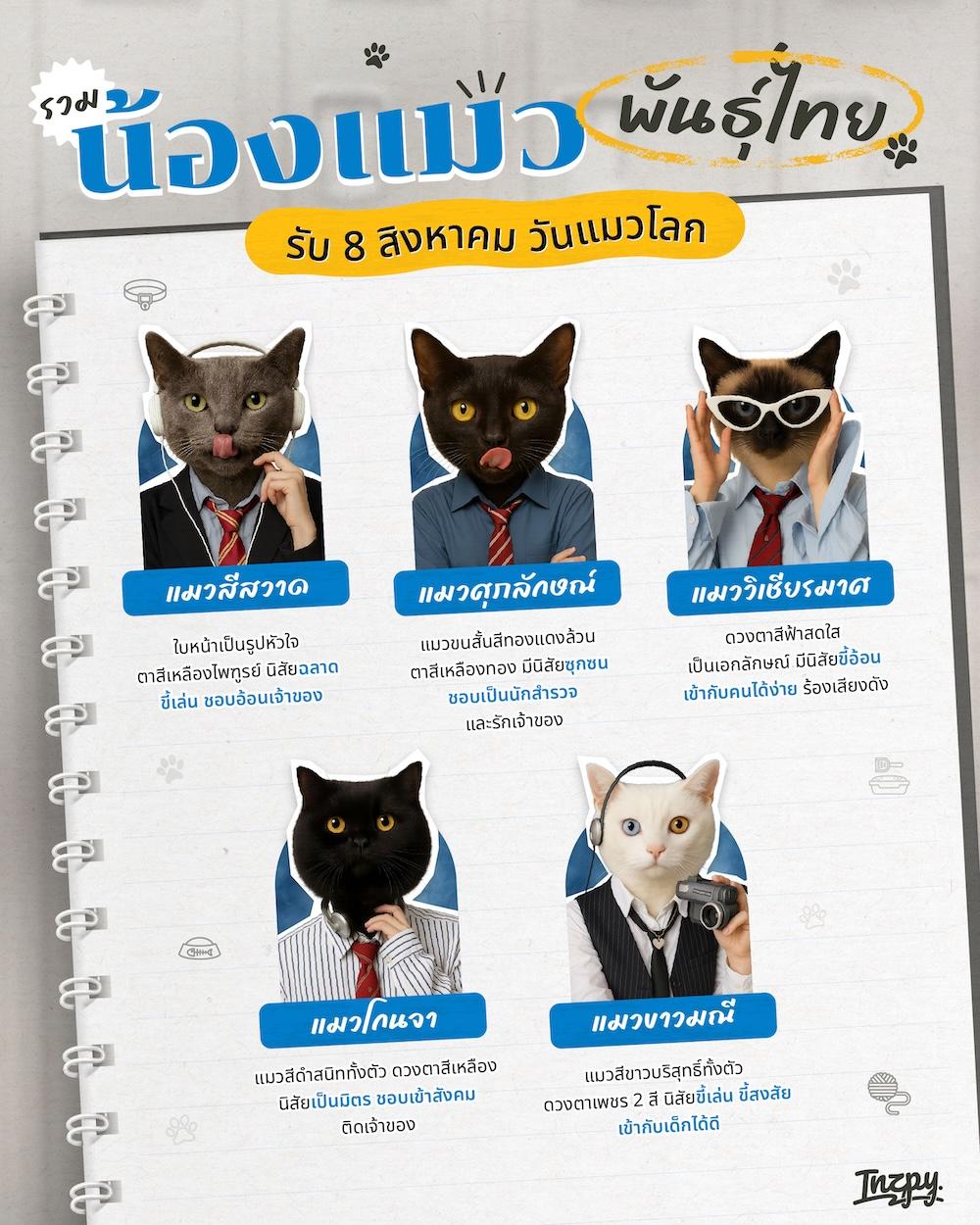 8 สิงหาคม วันแมวโลก