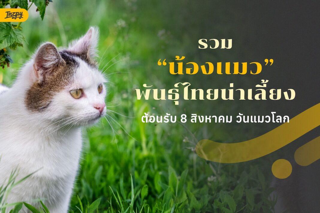 วันแมวโลก