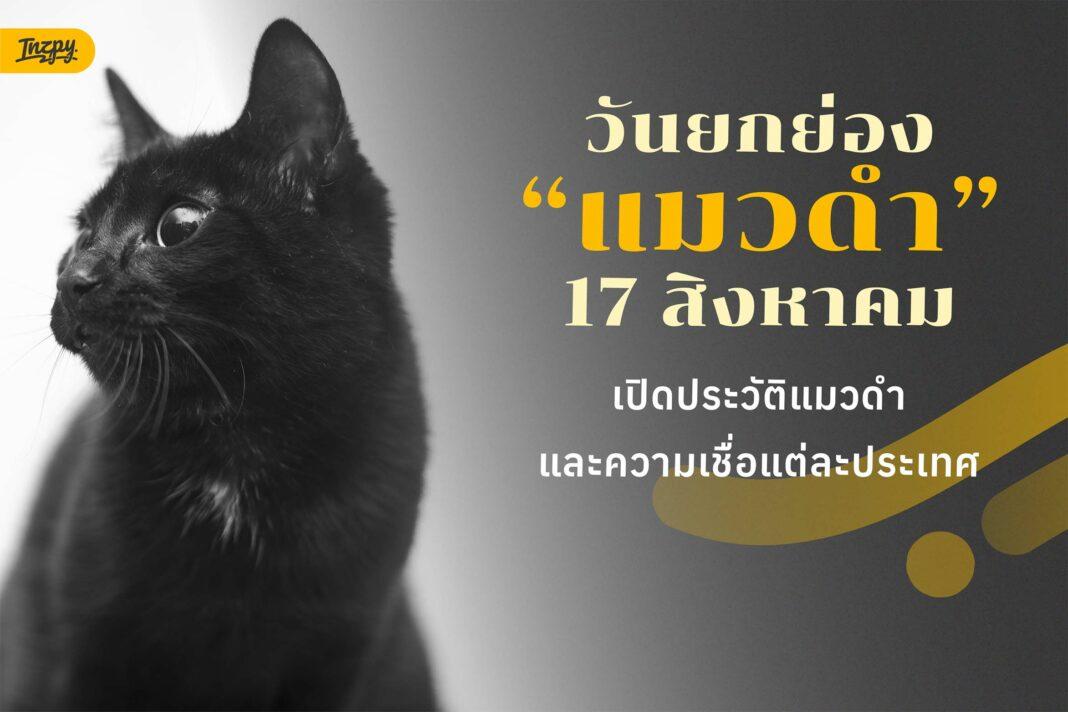 17 สิงหาคม วันยกย่องแมวดำ