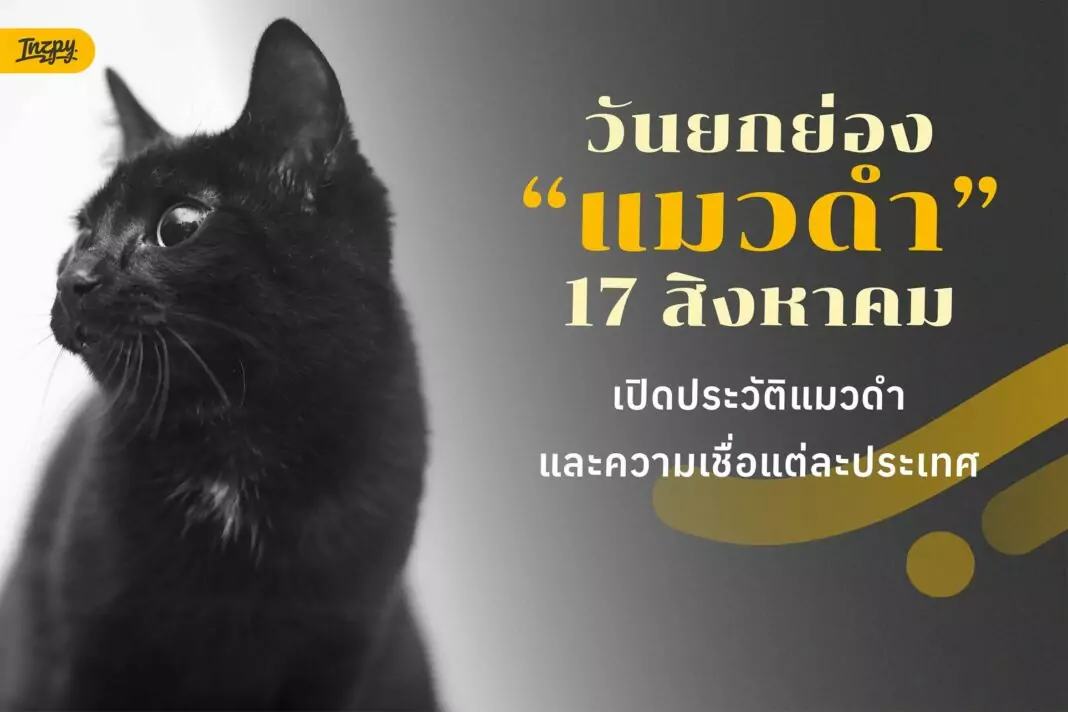 17 สิงหาคม วันยกย่องแมวดำ