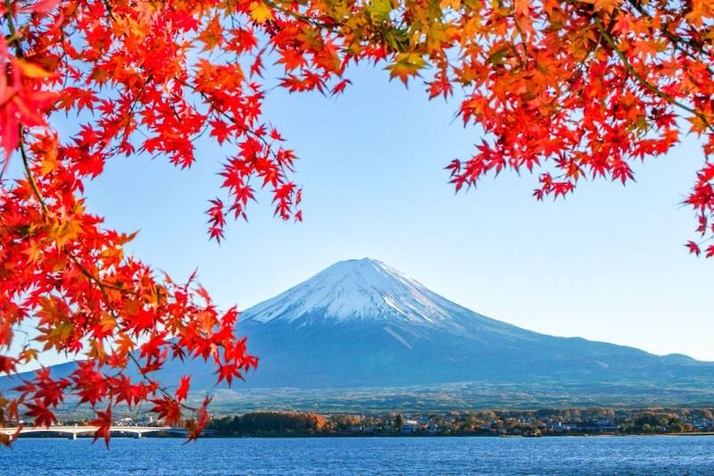 ทะเลสาบคาวากุจิโกะ (Lake Kawaguchiko)