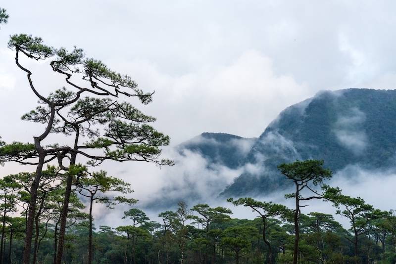 อุทยานแห่งชาติภูสอยดาว