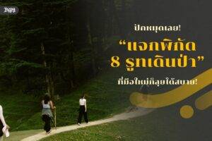 ปักหมุดเลย! แจกพิกัด 8 รูทเดินป่า ที่มือใหม่ก็ลุยได้สบาย!