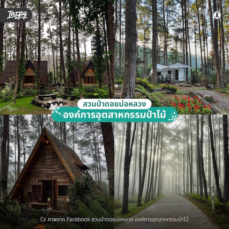 สวนป่าดอยบ่อหลวง องค์การอุตสาหกรรมป่าไม้