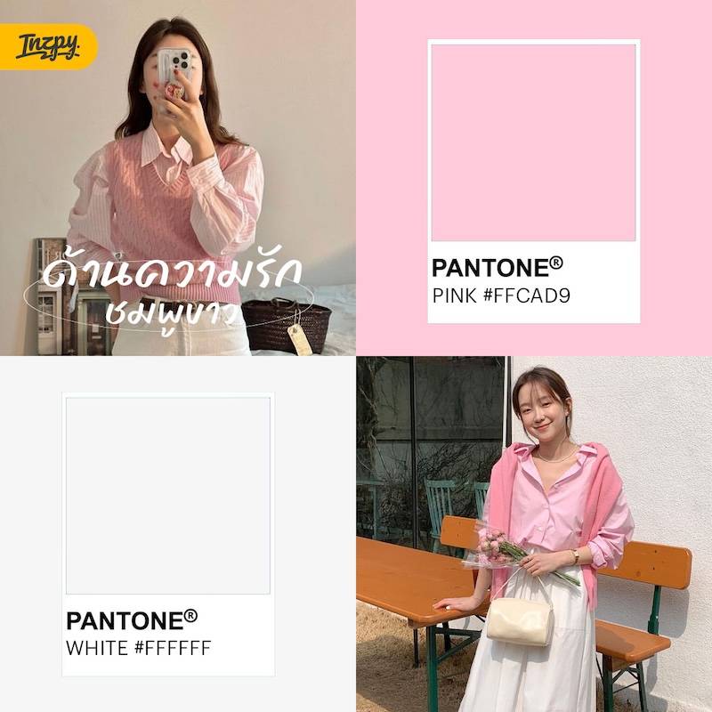 สีชมพูขาวด้านความรัก