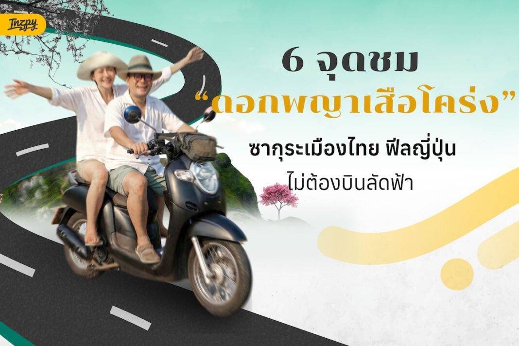 6 จุดชม “ดอกพญาเสือโคร่ง” ซากุระเมืองไทย ฟีลญี่ปุ่นไม่ต้องบินลัดฟ้า