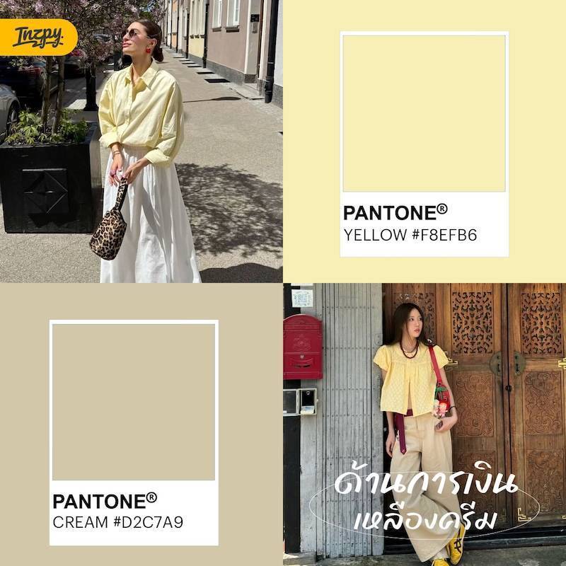 สีเหลืองครีมด้านการเงิน