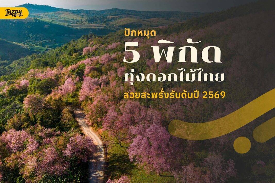 ปักหมุด 5 ทุ่งดอกไม้ สวยสะพรั่งรับต้นปี 2569 : พิกัดถ่ายรูปสวย ๆ