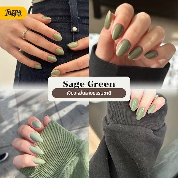Sage Green 