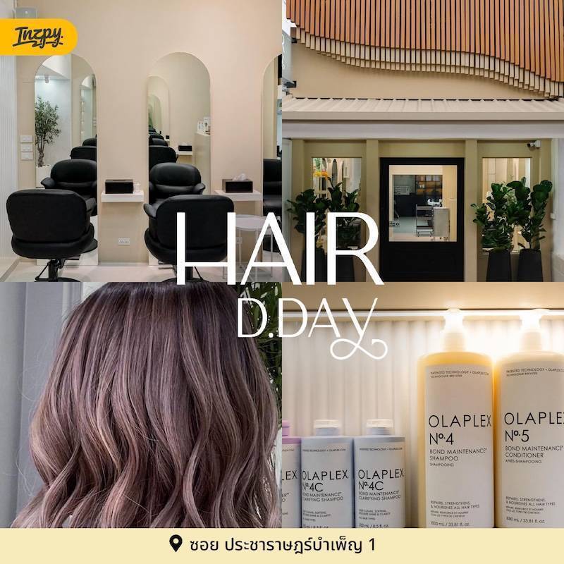 Hair d.day