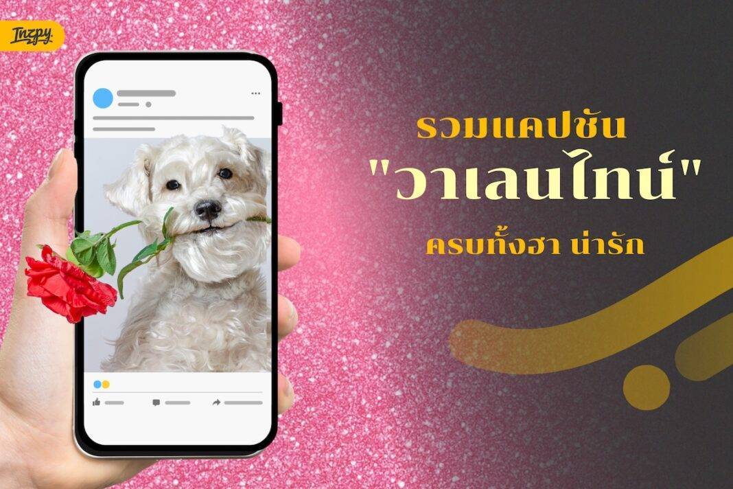 แจกฟรี แคปชันวาเลนไทน์ หวาน เสี่ยว ตลก เซ็กซี่ มีครบ! โพสต์เรียกไลก์แบบตัวมัม