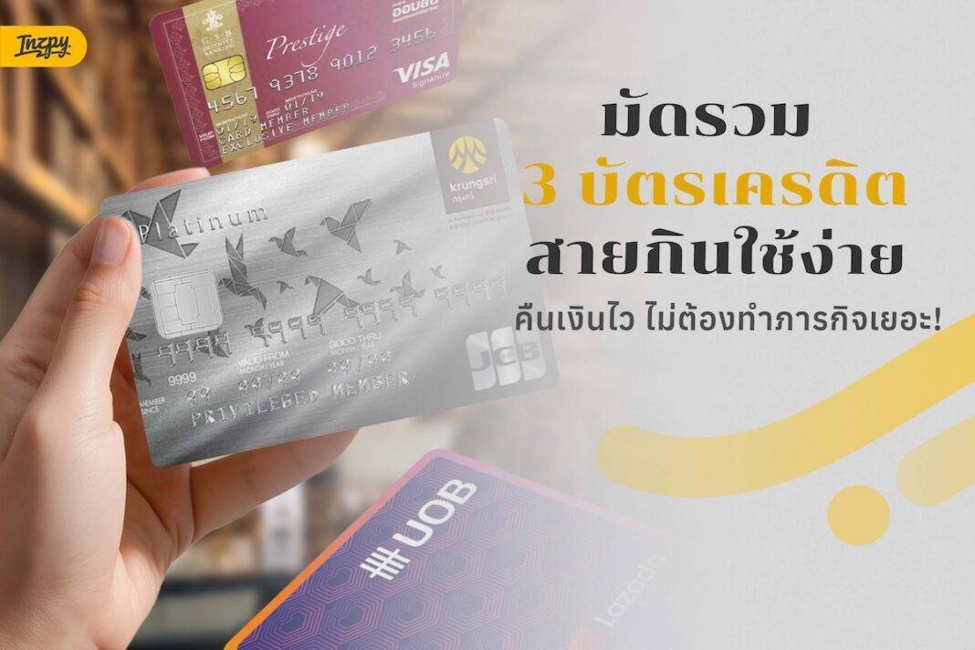 ใบที่คุ้มจริง ใช้ง่าย ไม่ต้องทำภารกิจ