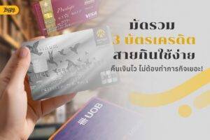 ใบที่คุ้มจริง ใช้ง่าย ไม่ต้องทำภารกิจ