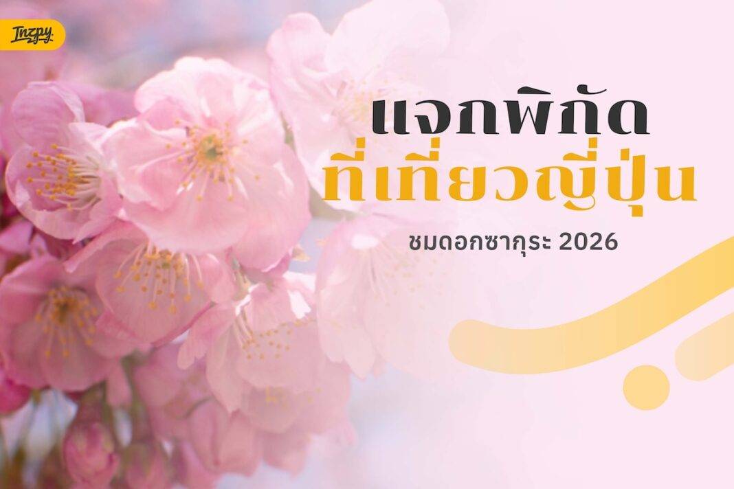 sakura guide