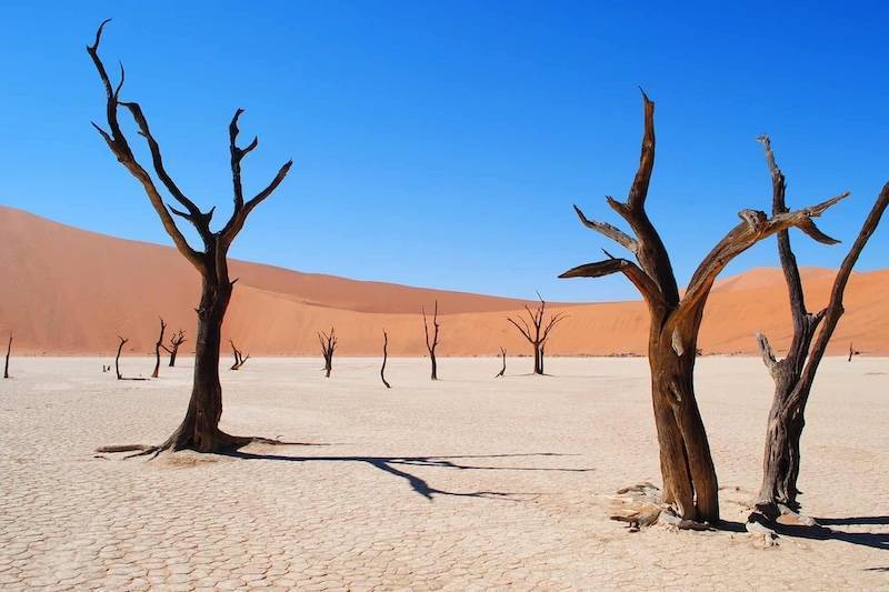 Deadvlei, นามิเบีย