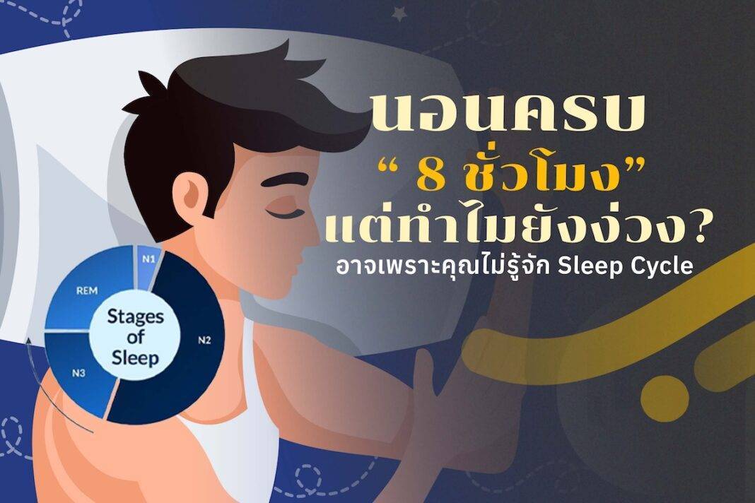 Sleep Cycle