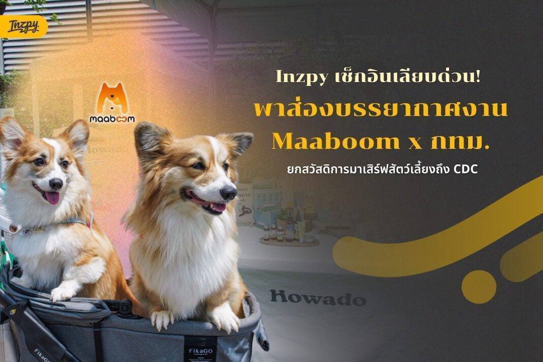 Inzpy เช็กอินเลียบด่วน! พาส่องบรรยากาศงาน Maaboom x กทม. ยกสวัสดิการมาเสิร์ฟสัตว์เลี้ยงถึง CDC
