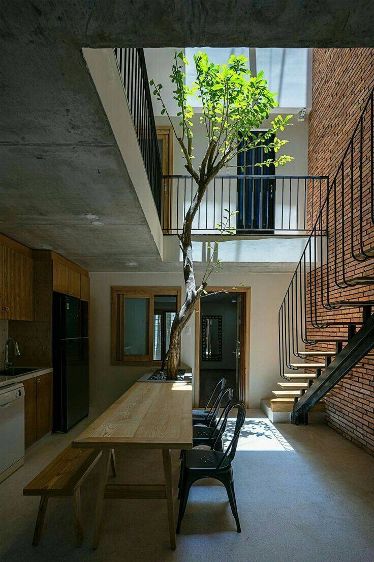 Open Plan Narrow House